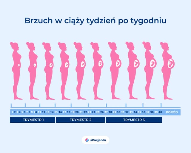 Jak dokładnie obliczyć wiek ciąży przy nieregularnych miesiączkach Jak dokładnie obliczyć wiek ciąży przy nieregularnych miesiączkach