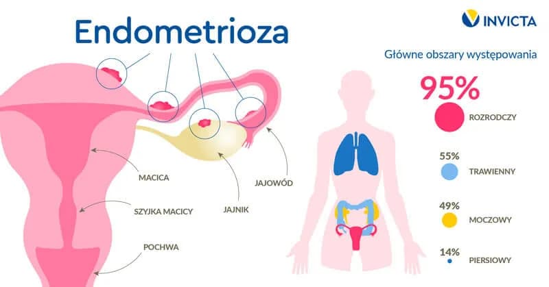 Dwa pęcherzyki w USG: Jakie są szanse na ciążę bliźniaczą? Dwa pęcherzyki w USG: Jakie są szanse na ciążę bliźniaczą?