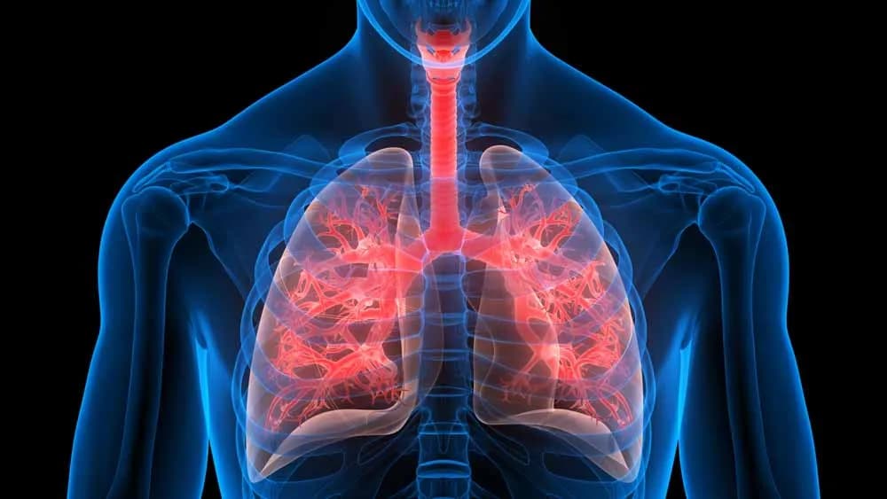 Zatorowość płucna: 5 kluczowych badań diagnostycznych Zatorowość płucna: 5 kluczowych badań diagnostycznych