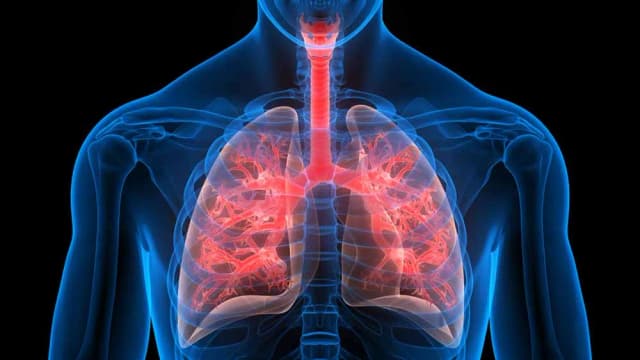 Zatorowość płucna: 5 kluczowych badań diagnostycznych Zatorowość płucna: 5 kluczowych badań diagnostycznych
