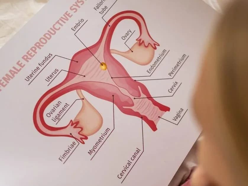 Torbiele jajników: objawy, które powinny Cię zaniepokoić Torbiele jajników: objawy, które powinny Cię zaniepokoić