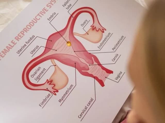 Torbiele jajników: objawy, które powinny Cię zaniepokoić Torbiele jajników: objawy, które powinny Cię zaniepokoić